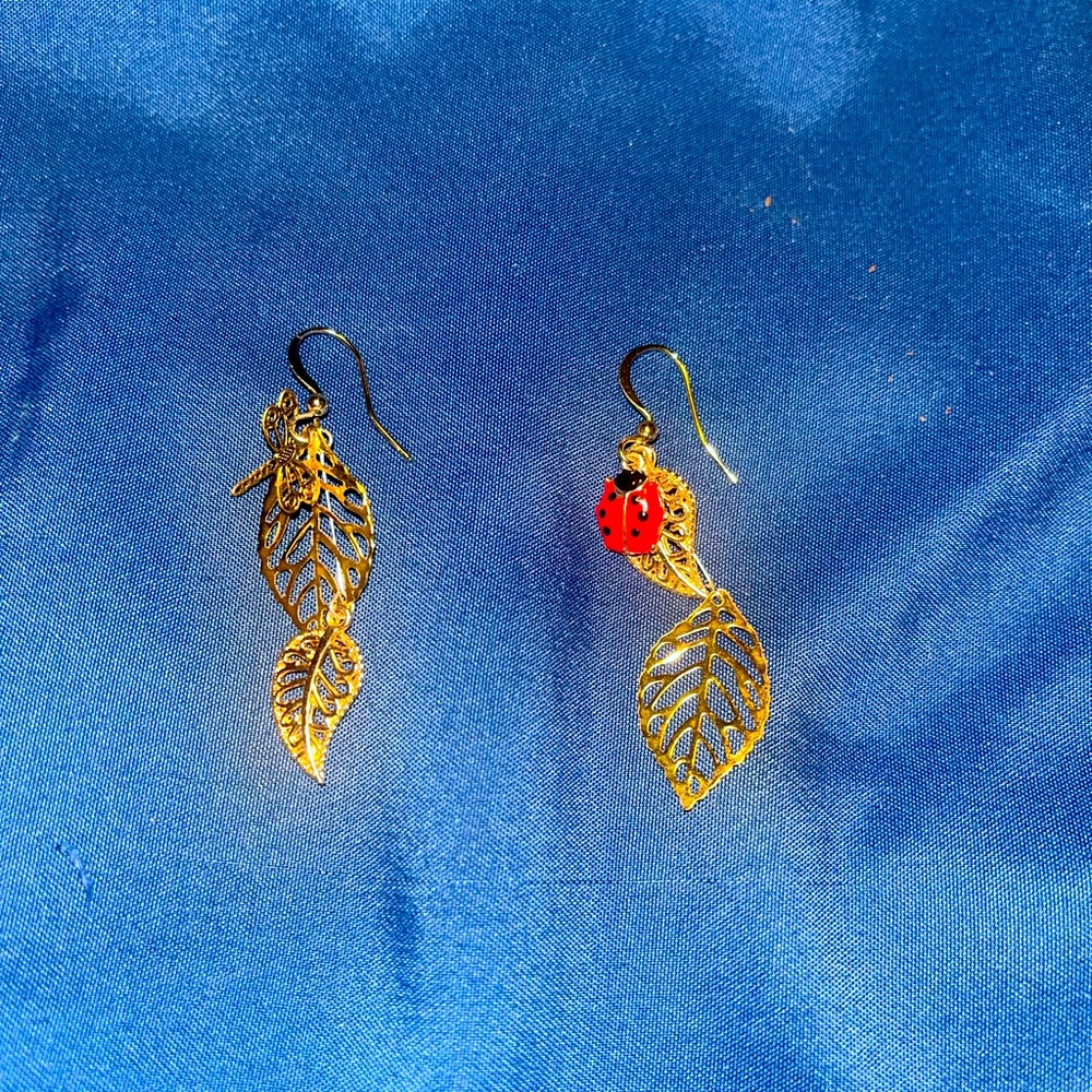 Dragon fly lady bug collection